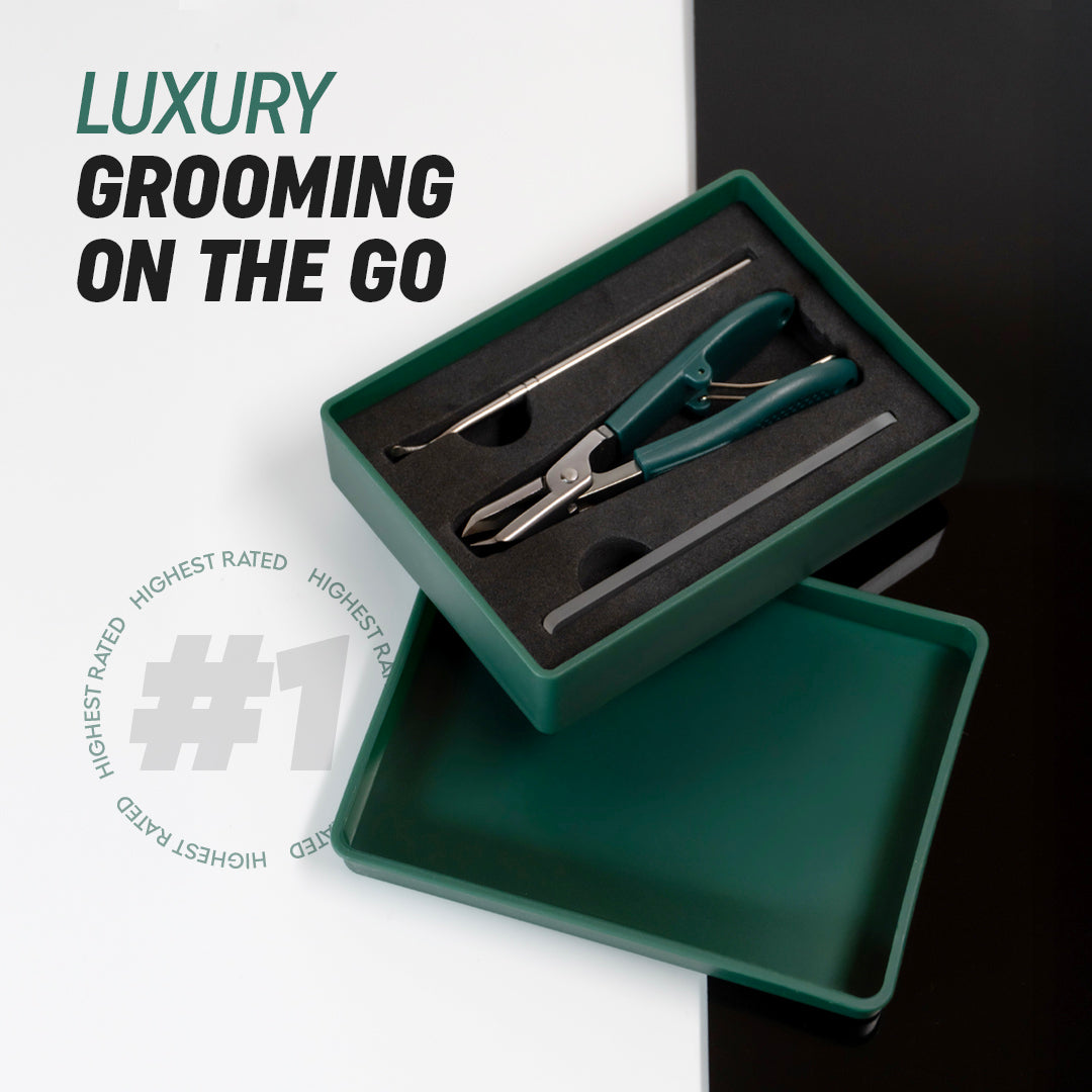 Eagle Beak Nail Clipper Set (With Filer and Nail Remover)