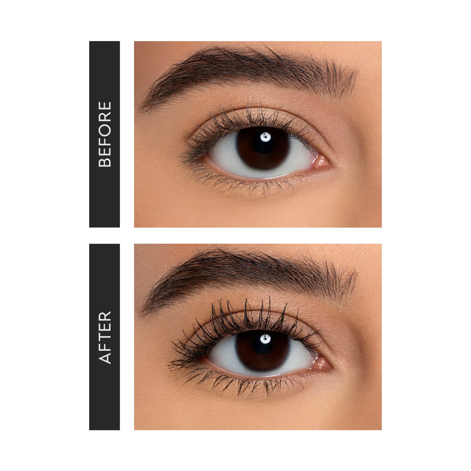 4D Silk Fiber Mascara (+2 Free Gifts)